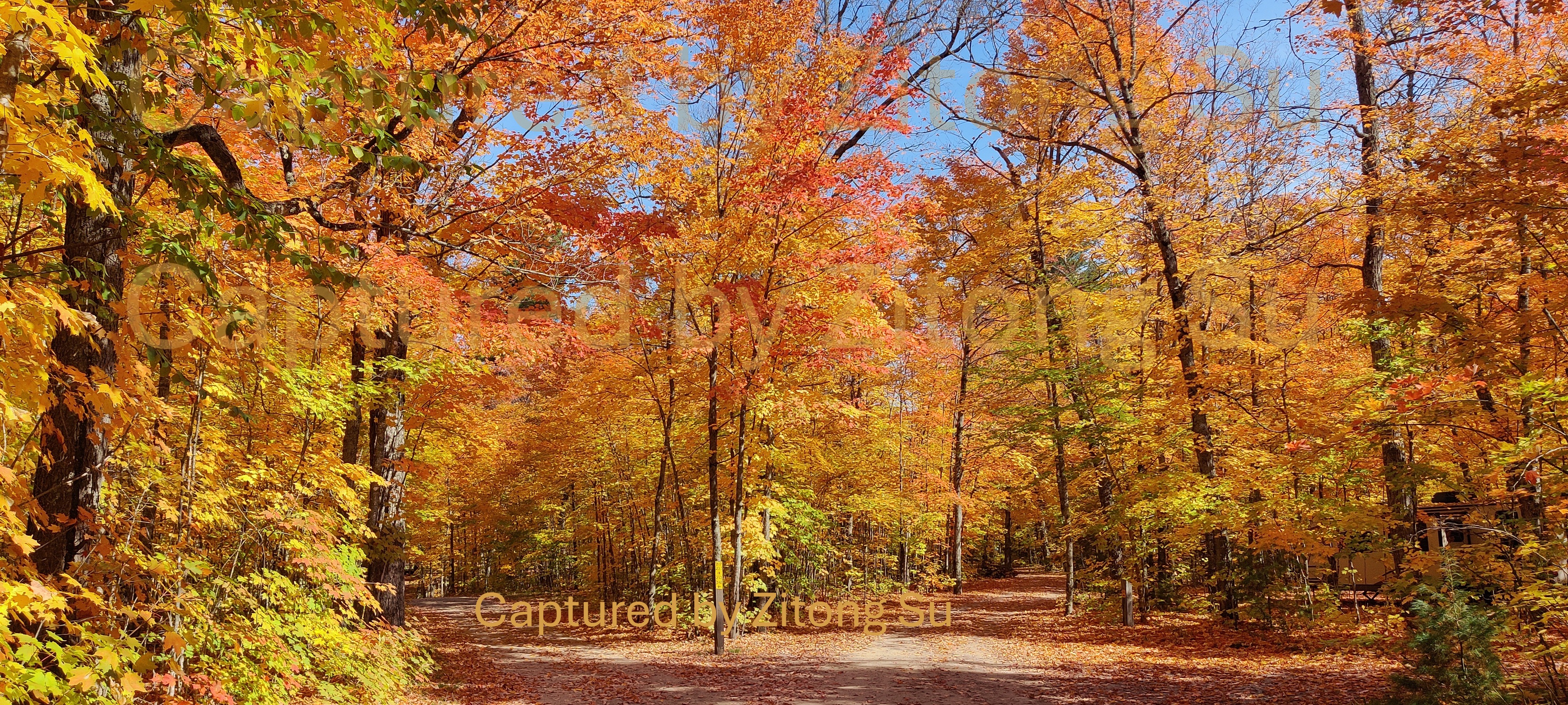 algonquin-01.jpg