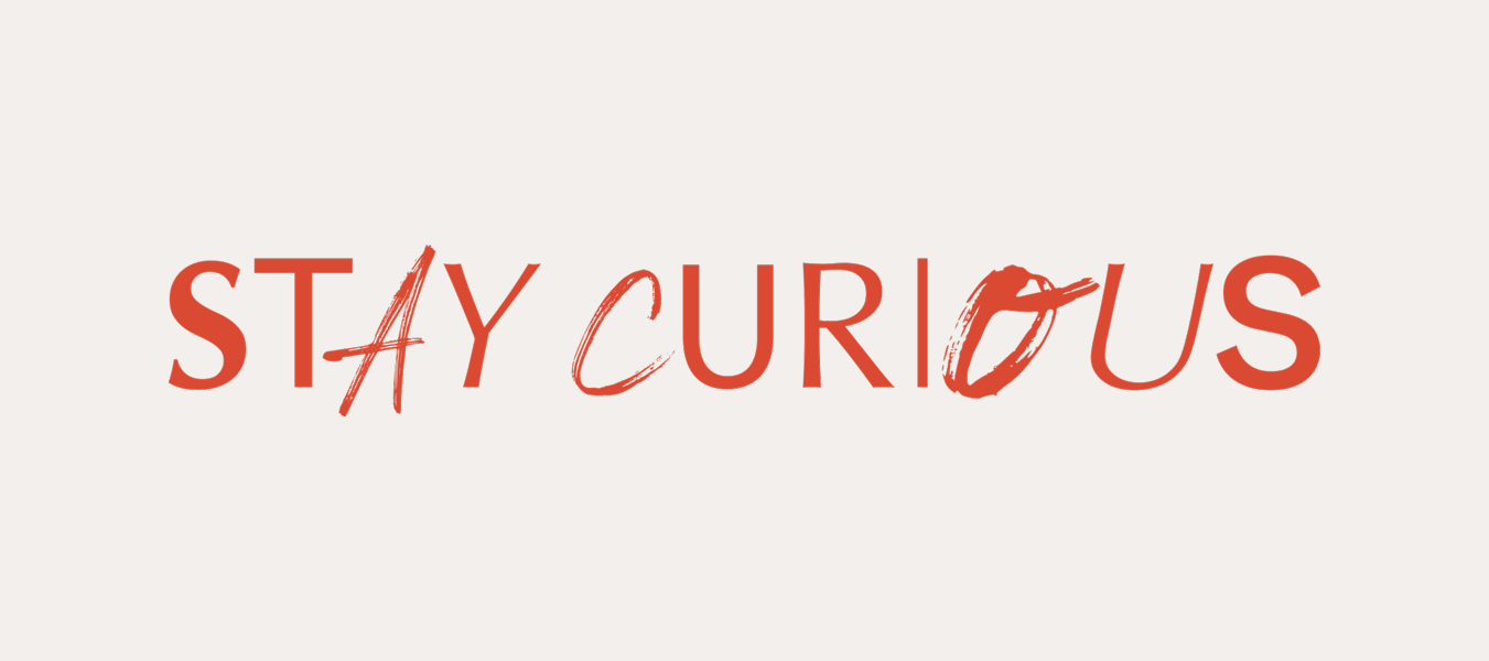stay-curious-gif